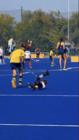 Hockey césped, PWCC