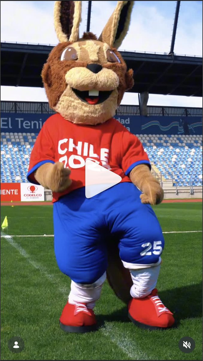 Mascota Chile 2025, Americas Paralympic Committee
